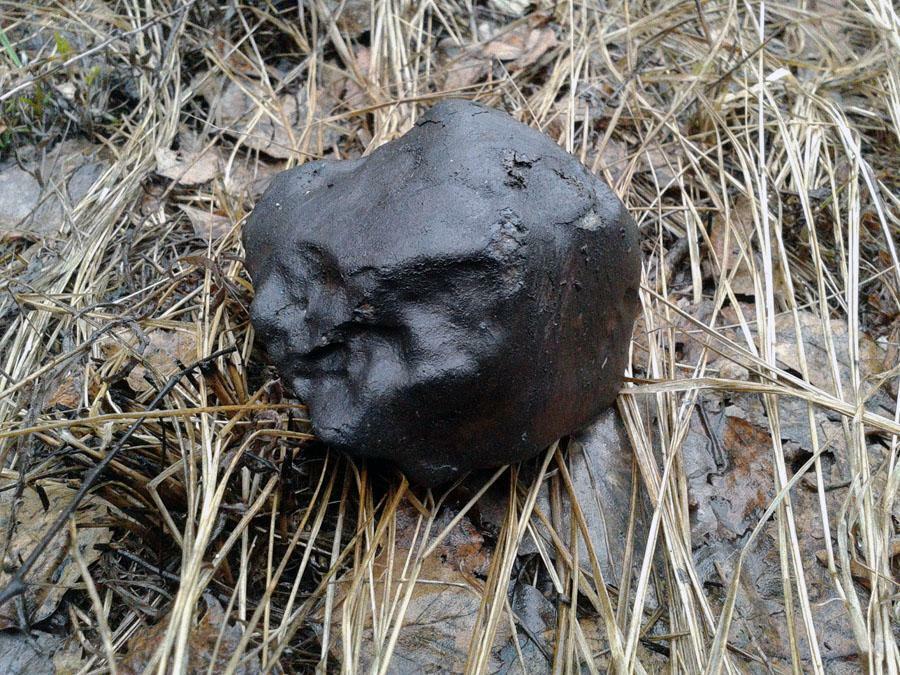 Жителей Бобруйского района попросили поискать метеорит. Как выглядит?