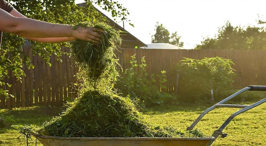 Как использовать скошенную траву в саду Скошенная трава