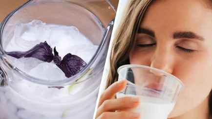 Этот турецкий напиток помогает кишечнику и разглаживает кожу. Как приготовить дома из трех продуктов?