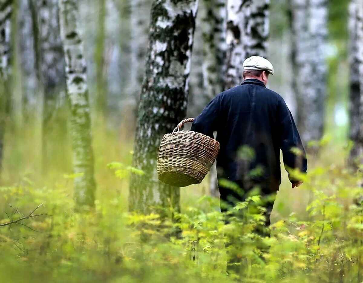 Фото иллюстрационное