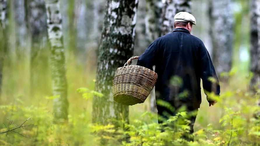 Фото иллюстрационное