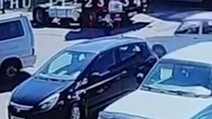 Скриншот видео ГАИ Брестской области