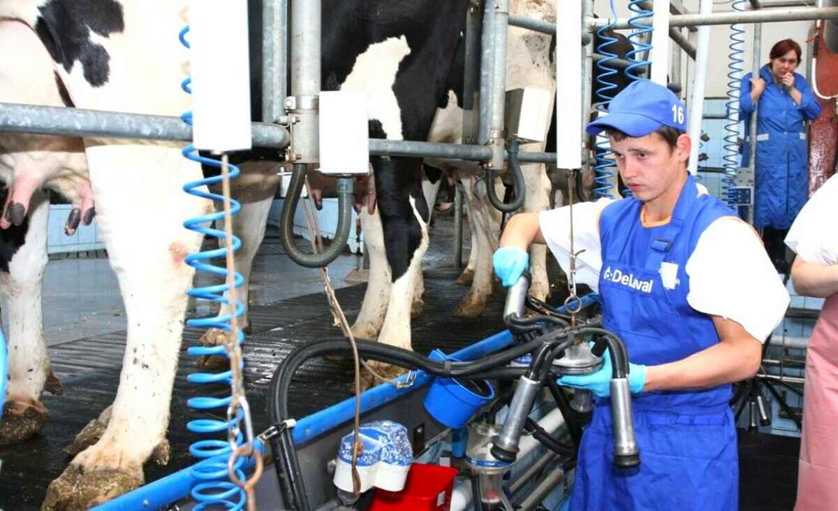 Юрист перечислила 20 случаев, когда белорусские выпускники могут избежать отработки по распределению