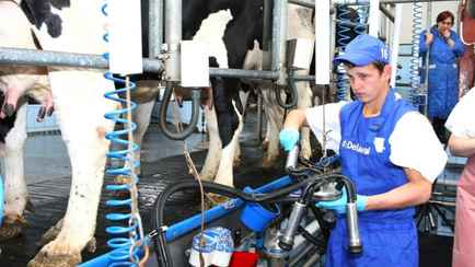 Юрист перечислила 20 случаев, когда белорусские выпускники могут избежать отработки по распределению