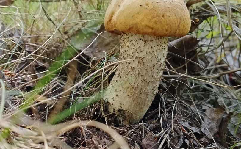 Фото: Наталья Шпаковская / vk.com