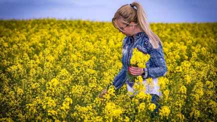Штраф до 1200 рублей? Юрист рассказал, можно ли фотографироваться в рапсовом поле