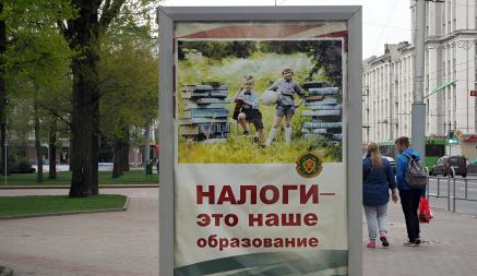 В МНС объяснили, как придётся платить налоги белорусским ИП, перешедшим в юрлица, с октября 2024 года. Кому пообещали льготы?