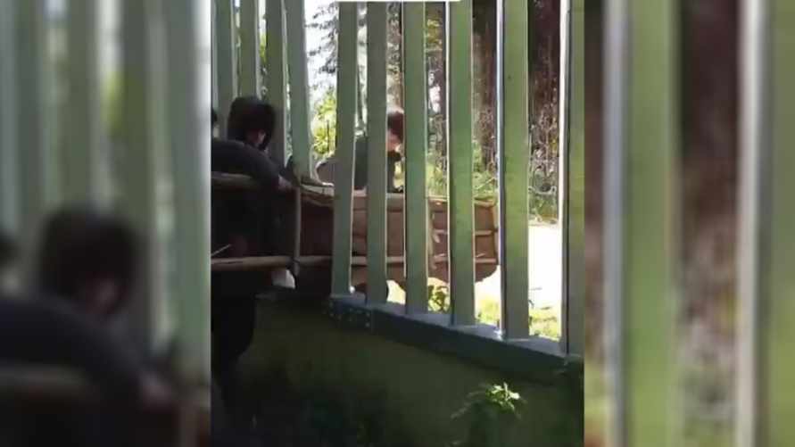 В Сети показали, как нелегальные мигранты с помощью домкрата и лестницы преодолевают польский забор на границе с Беларусью