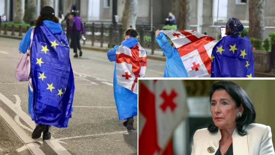 Президент Грузии пообещала наложить вето на принятый парламентом "русский закон"