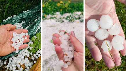 Белорусы показали последствия града в начале мая, а синоптики предупредили о снегопадах и заморозках до -5°С. Где и когда ждать?