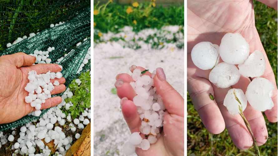 Белорусы показали последствия града в начале мая, а синоптики предупредили о снегопадах и заморозках до -5°С. Где и когда ждать?