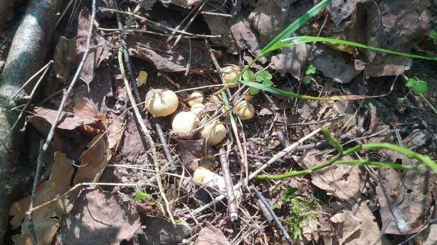 Фото: Татьяна Микулко / vk.com