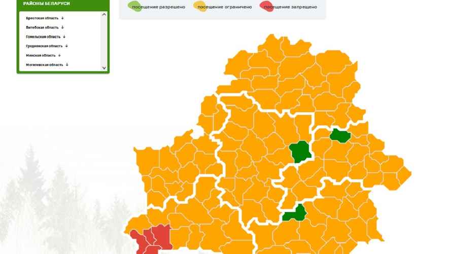 Карта ограничений и запретов на посещение лесов Минлесхоза Беларуси: красным обозначен полный запрет, жёлтым - ограничения, зелёным - свободное посещение леса