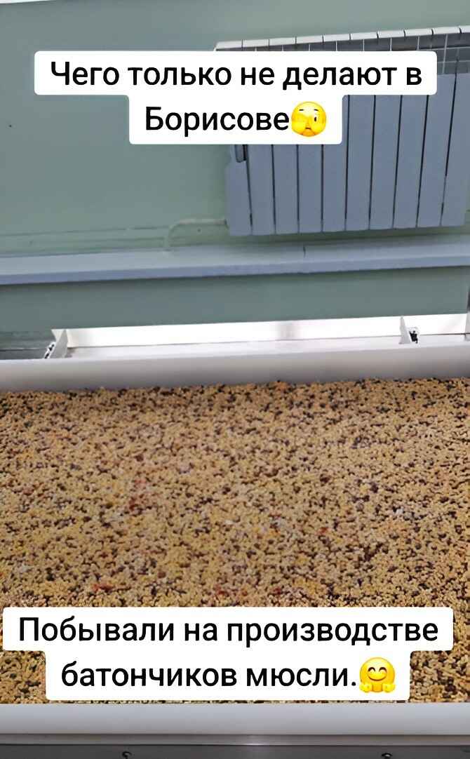 В TikTok показали, как производят батончики мюсли в Борисове. Что за они?