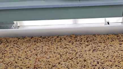 В TikTok показали, как производят батончики мюсли в Борисове. Что за они?