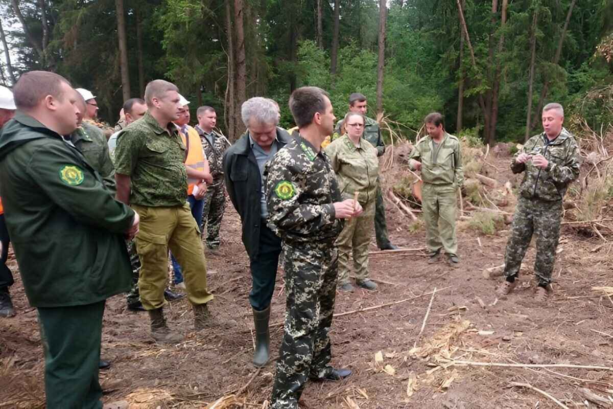 "Когда в последний раз был такой май?" - Минлесхоз приказал всем лесникам отказаться от участия в "различных мероприятиях"