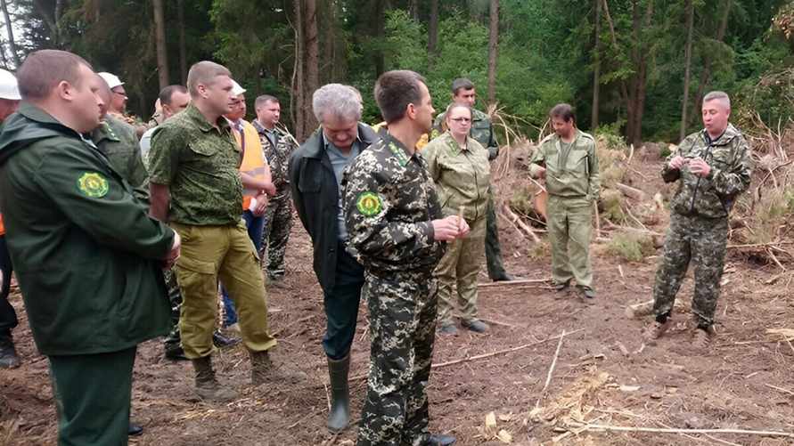 "Когда в последний раз был такой май?" - Минлесхоз приказал всем лесникам отказаться от участия в "различных мероприятиях"