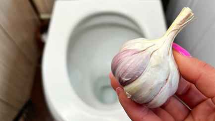 Зачем бросать чеснок в унитаз? Вот как ещё можно применить этот овощ в доме и саду