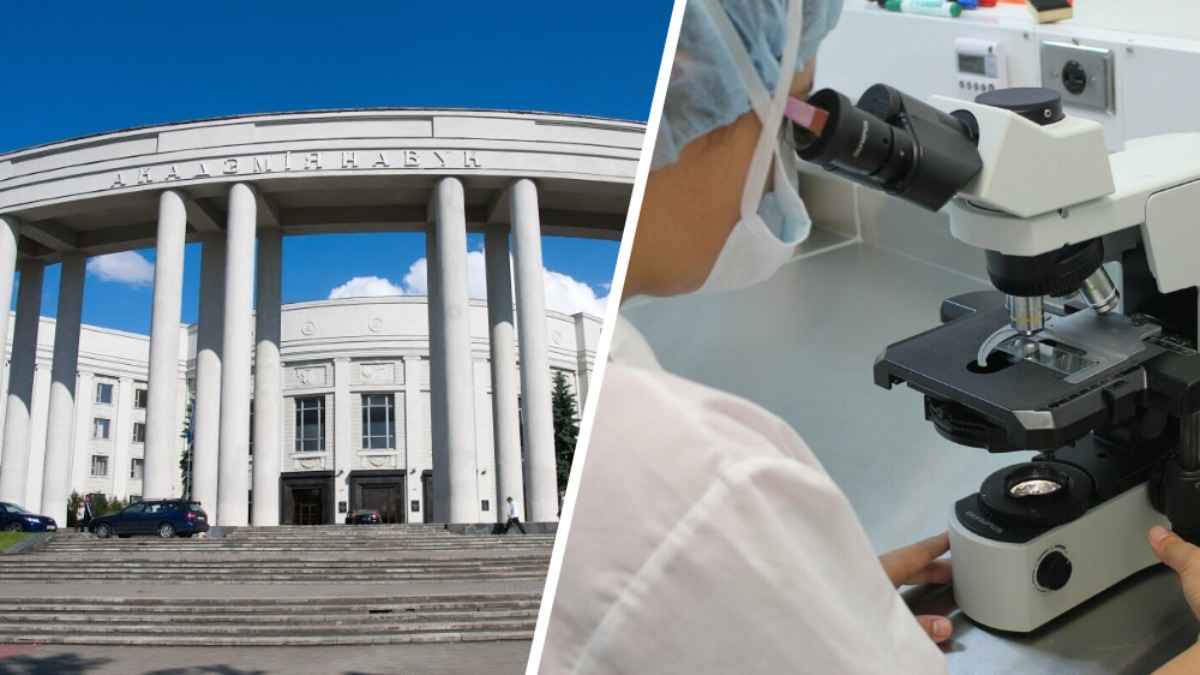 НАН ввела надбавку к зарплате белорусских судэкспертов. За что?