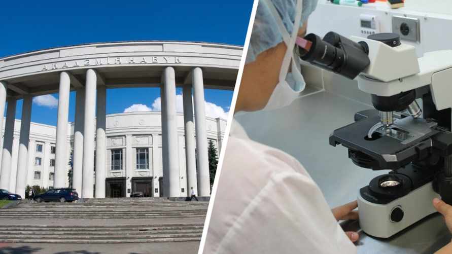 НАН ввела надбавку к зарплате белорусских судэкспертов. За что?