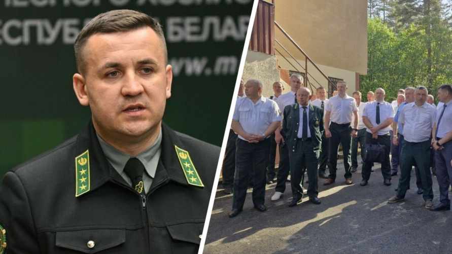 "Бизнес-план деградации" - Замминистра лесного хозяйства возмутился работой одного белорусского лесхоза. Что не так?