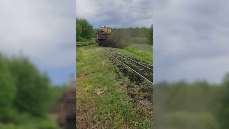 "Скоро на всех огородах страны" – Видео с "Бабой Ягой" с белорусской узкоколейки набрало 1,2 млн просмотров