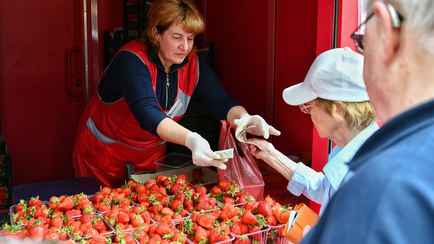 Клубника подешевела в белорусских магазинах на 6 рублей за неделю. Где можно купить уже по 4,9 рубля?