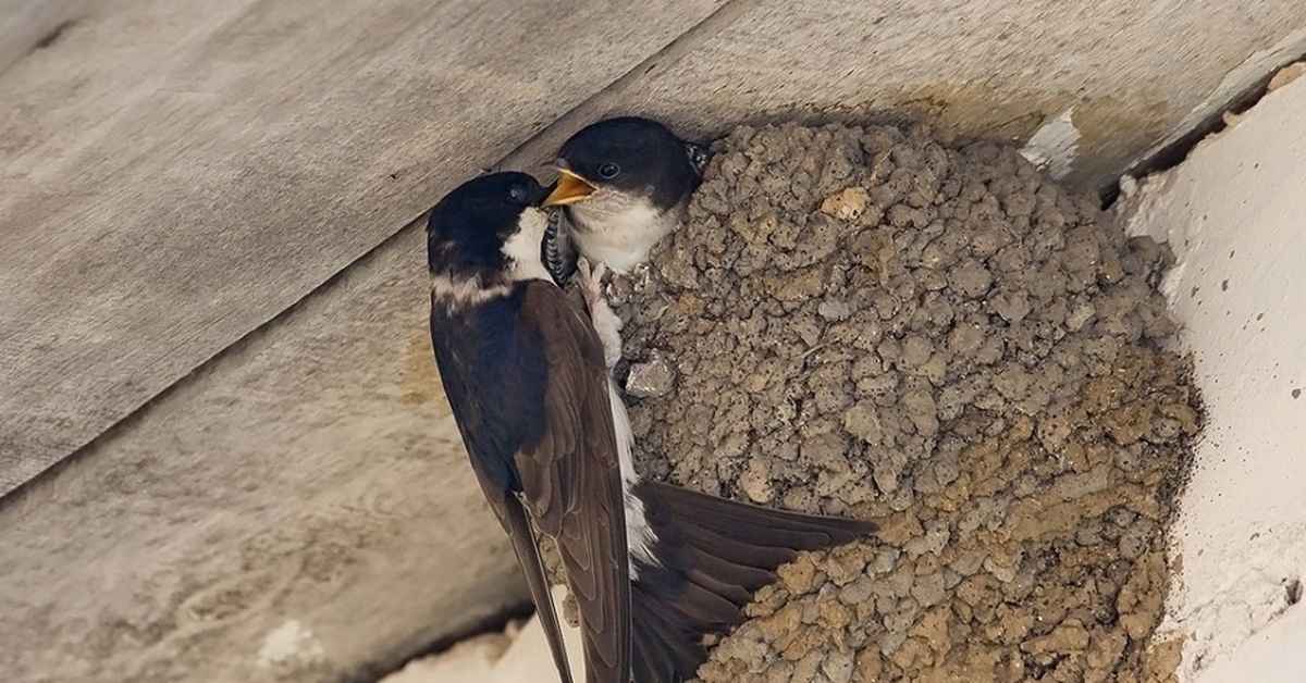 Фото иллюстративное