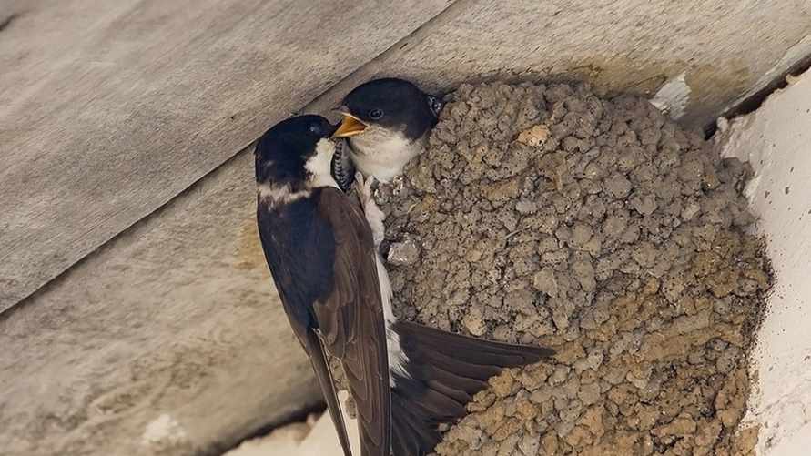 Фото иллюстративное