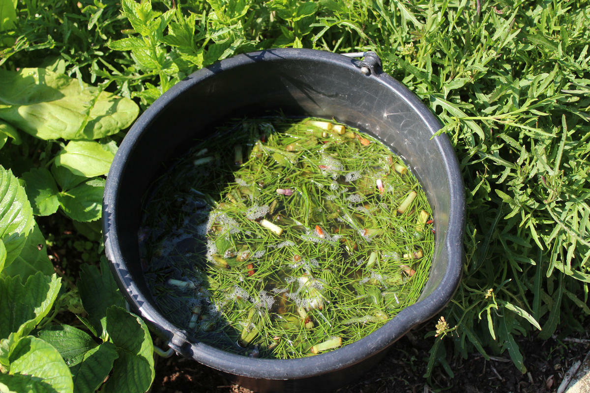 Как улучшить урожаи с помощью скошенной травы? Узнав эти 4 способа, вы перестанете её выбрасывать