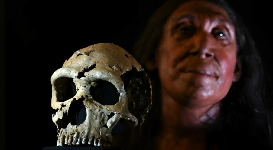Сам череп археологи обнаружили в 2018 году. Он