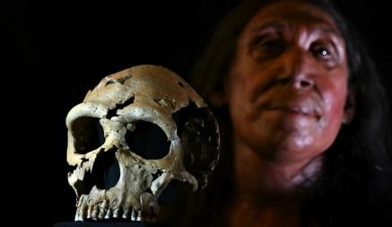 Британские учёные воссоздали лицо женщины, жившей 75 тыс. лет назад. Вот как она выглядела