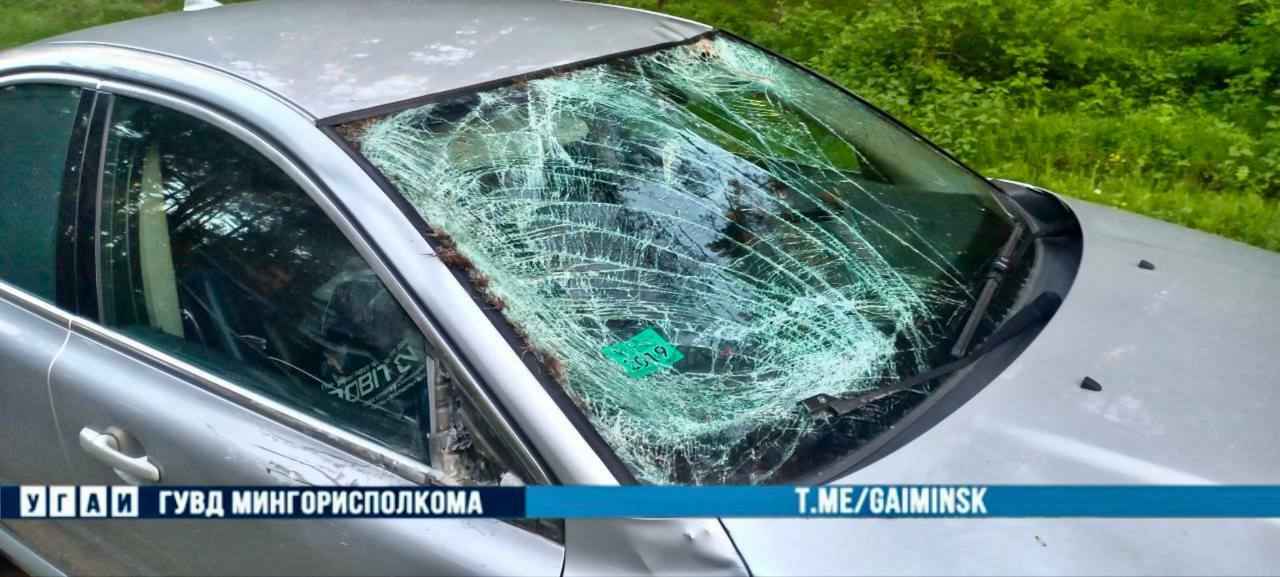 Фото: УГАИ ГУВД Мингорисполкома