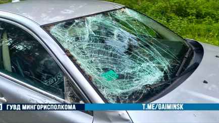 Водитель сбил лося в Минске