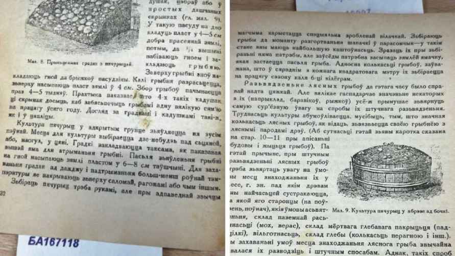 Страницы книги из фонда НББ, где рассказывается о способе забора шампиньонов