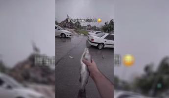«Такое только в мультиках бывает» — В TikTok показали видео с «рыбным» дождём в Иране. Что это было?