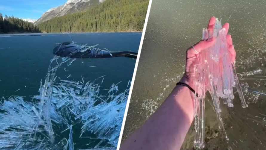 "Я хочу это съесть!" - В TikTok видео с "аппетитным" льдом в Канаде собрало почти 50 млн просмотров. Что это такое?