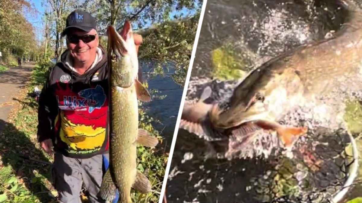 "Если бы не съёмка - не доказали бы" - Рыбаки поделились в TikTok видео с "легендарным случаем" поимки щуки