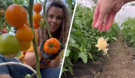 Блогер и садовод Лера Петровчанка рассказала, как приготовить