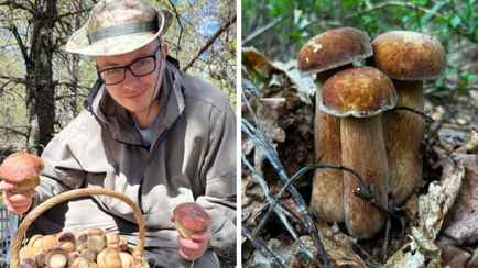 «Вы браконьер!» — Белорусский грибник-эксперт ответил на обвинения. Так срезать грибы или выкручивать?