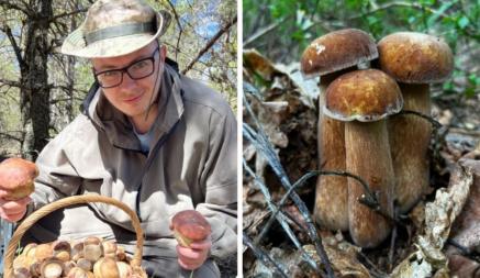 «Вы браконьер!» — Белорусский грибник-эксперт ответил на обвинения. Так срезать грибы или выкручивать?