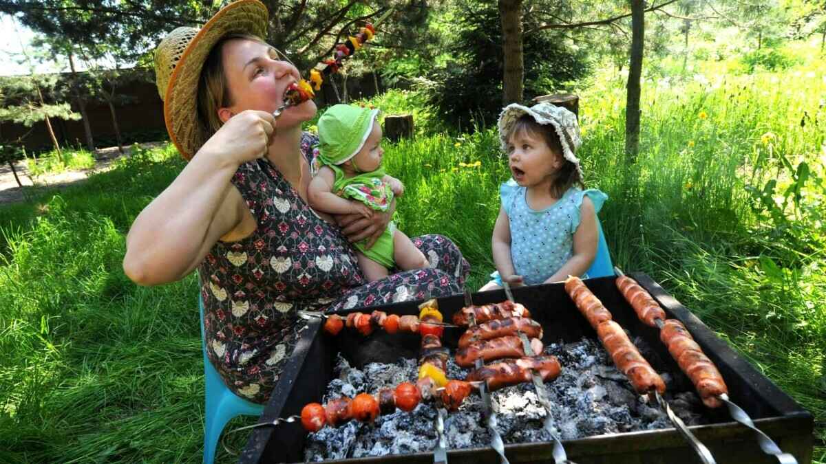 Собираетесь в лес на шашлыки? Не забудьте про это, чтобы не получить штраф 1200 рублей
