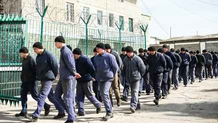 Зеленский подписал закон о мобилизации заключённых. Сколько человек пополнят ряды ВСУ?