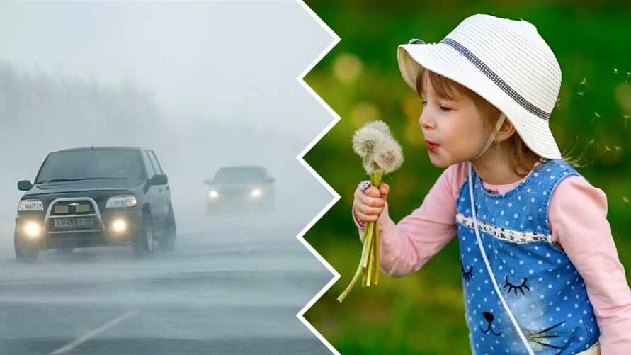 "Видимость до полукилометра" — Синоптики рассказали, принесёт ли белорусам тепло "неустойчивая воздушная масса"