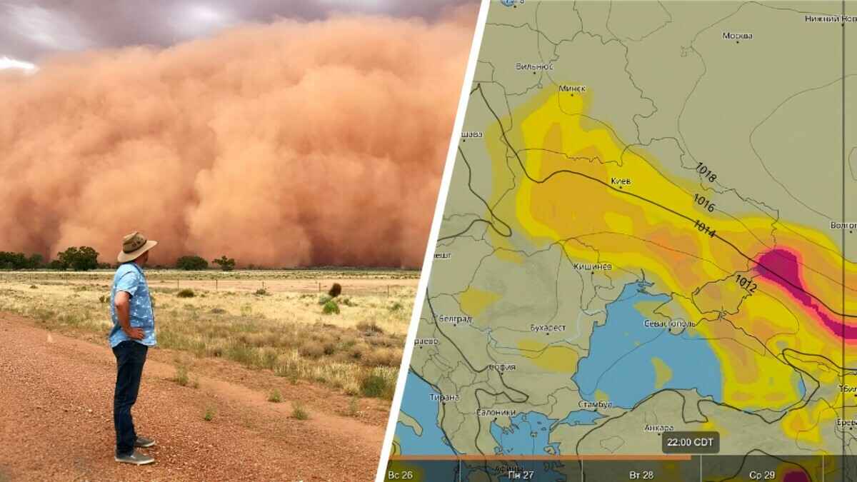 Синоптики предупредили, что на Беларусь надвигается пыльная буря. Нужно ли укрывать грядки?
