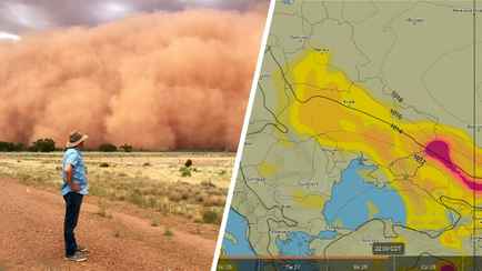 Синоптики предупредили, что на Беларусь надвигается пыльная буря. Нужно ли укрывать грядки?