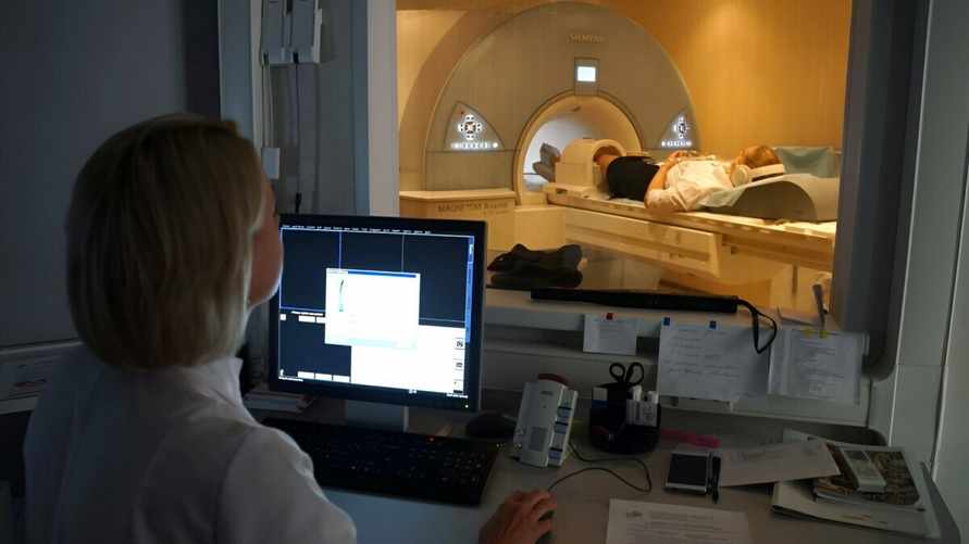 Фото носит иллюстративный характер