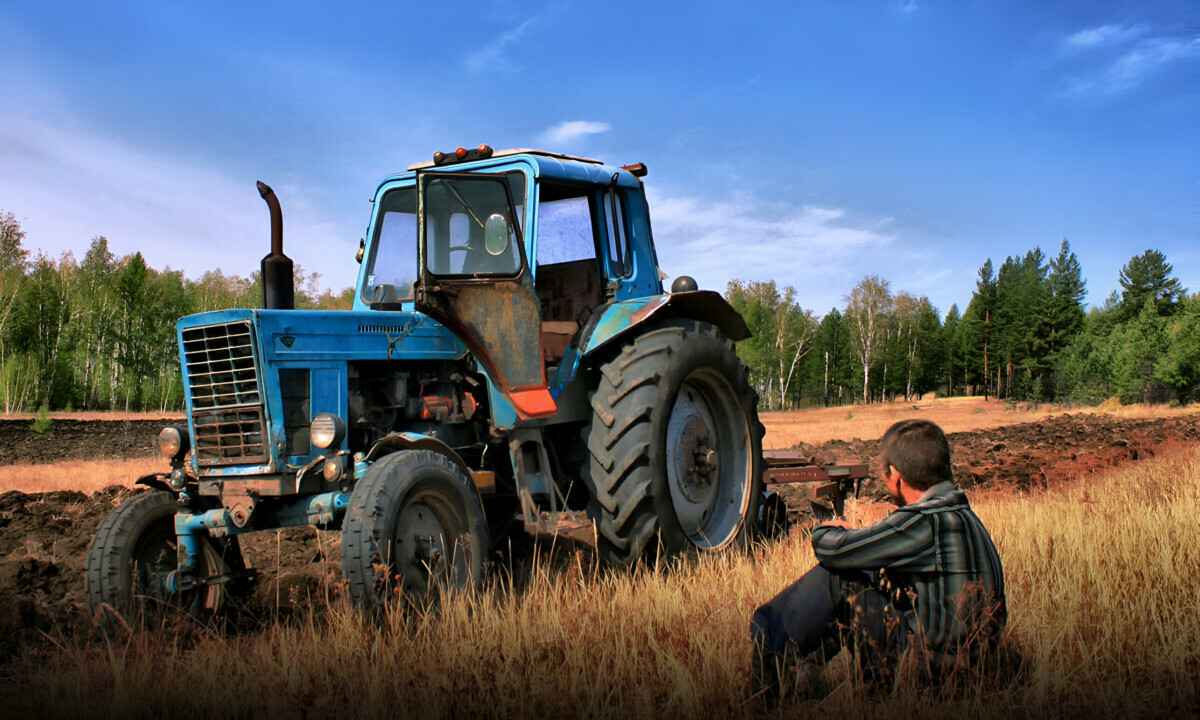 Фото носит иллюстративный характер