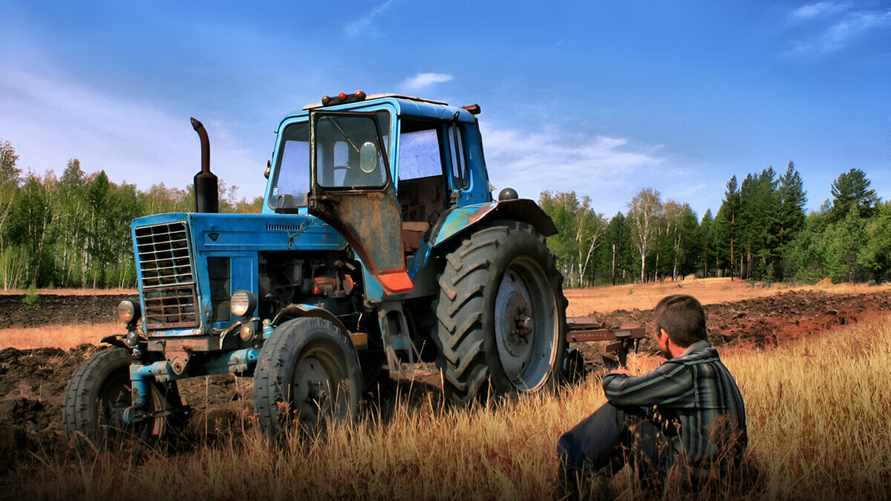 Фото носит иллюстративный характер