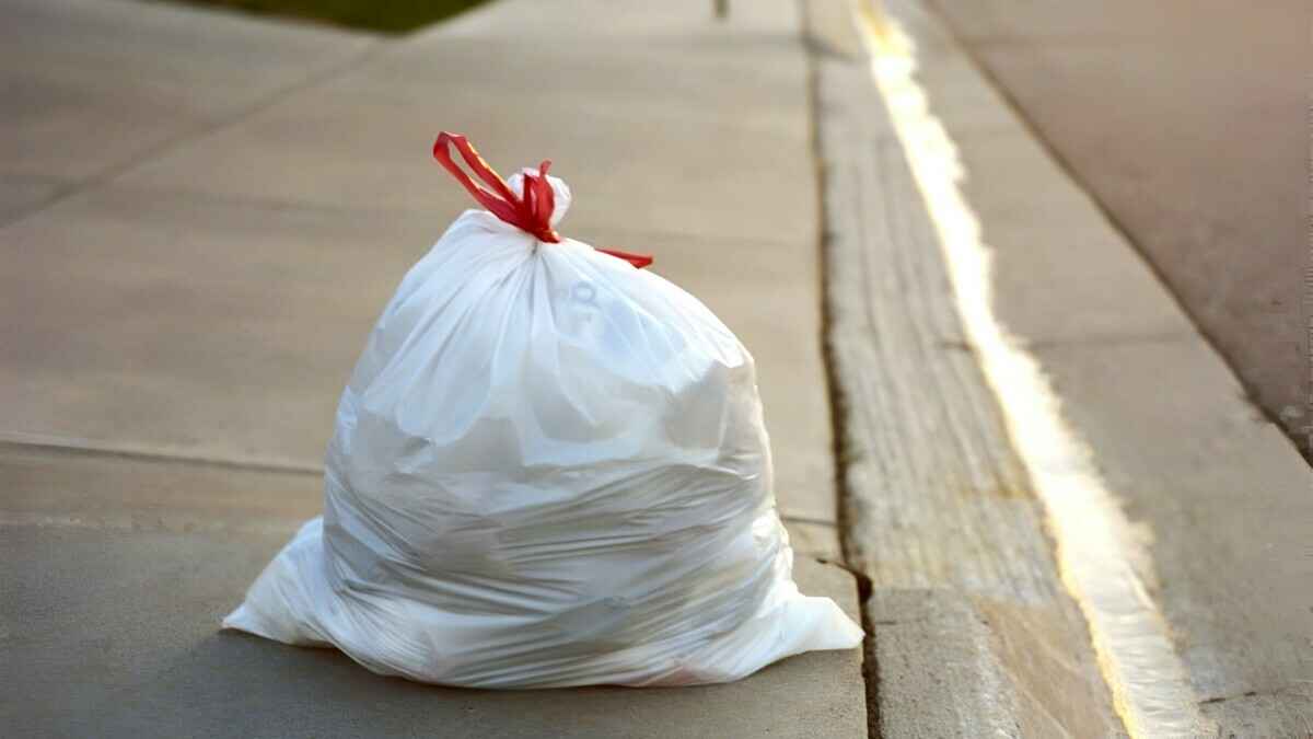 Фото носит иллюстративный характер